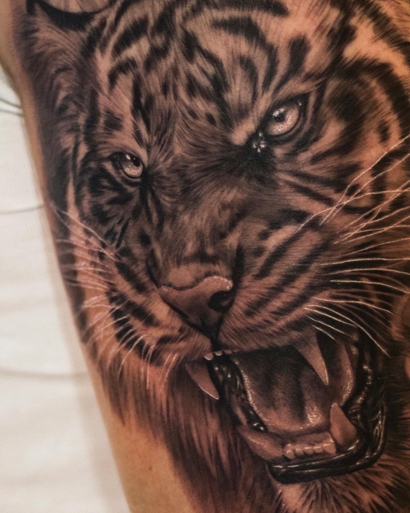 Realisme tatovering tiger - Kyle the kid